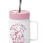 480ml Double-Insulated Mason Jar with Silicone Lid and Metal Straw - Image 2