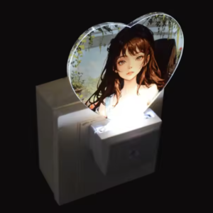 Auto Night Light